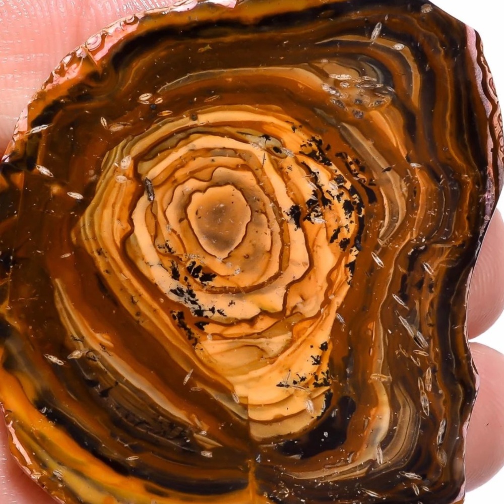 Biggs Jasper